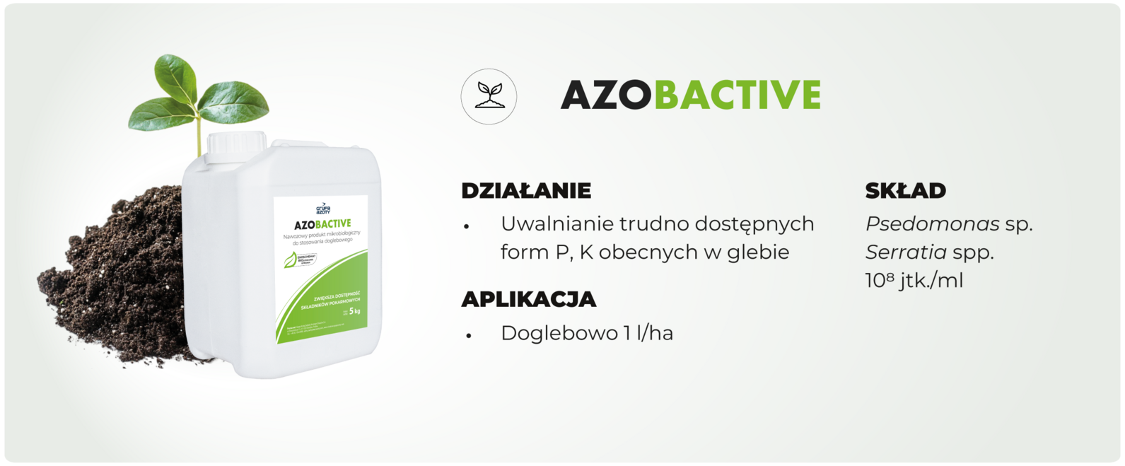 AZOBACTIVE – Siła mikroorganizmów dla wzrostu roślin!